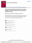 Research paper thumbnail of Fluid-induced breakdown of white mica controls nitrogen transfer during fluid–rock interaction in subduction zones