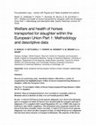 Research paper thumbnail of Welfare and health of horses transported for Union slaughter within the European Part 1: Methodology and descriptive data