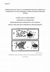 SMALL-SCALE INDEPENDENT HOUSING COOPERATIVES AS DEGROWTH CATALYSTS: EXPLORING ALTERNATIVE HOUSING PROVISION SYSTEMS Cover Page