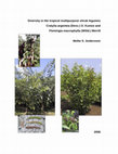 Research paper thumbnail of Diversity in the tropical multipurpose shrub legumes Cratylia argentea (Desv.) O. Kuntze and Flemingia macrophylla (Willd.) Merrill.