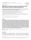 Multiple photosynthetic transitions, polyploidy, and lateral gene transfer in the grass subtribe Neurachninae Cover Page