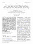 Research paper thumbnail of Expression and differential cell distribution of low-threshold Ca2+ channels in mammalian male germ cells and sperm