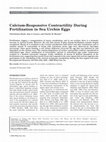 Research paper thumbnail of Calcium-responsive contractility during fertilization in sea urchin eggs