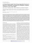 Research paper thumbnail of A Global, Myosin Light Chain Kinase-dependent Increase in Myosin II Contractility Accompanies the Metaphase-Anaphase Transition in Sea Urchin Eggs