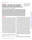 Research paper thumbnail of Neuropilin-1 and heparan sulfate proteoglycans cooperate in cellular uptake of nanoparticles functionalized by cationic cell-penetrating peptides