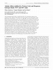 Research paper thumbnail of Adenine ribbon stabilized by Watson–Crick and Hoogsteen hydrogen Bonds: WFT and DFT study