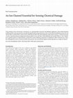 Research paper thumbnail of An ion channel essential for sensing chemical damage