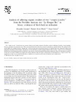 Analysis of adhering organic residues of two “coupes-à-socles” from the Neolithic funerary site “La Hougue Bie” in Jersey: evidences of birch bark tar utilisation Cover Page