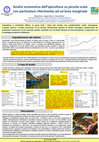 Research paper thumbnail of Analisi economica dell’apicoltura su piccola scala  con particolare riferimento ad un’area marginale