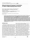 Ethanol-Induced Caspase-3 Activation in the in Vivo Developing Mouse Brain Cover Page