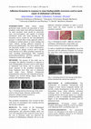 Research paper thumbnail of Adhesion formation in response to some biodegradable structures used in mesh repair of abdominal wall hernia