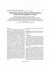 Antibacterial activity of Emblica officinalis (Gaertn.) Fruits and Vitex negundo (L.) Leaves Cover Page