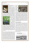 Research paper thumbnail of 'The Blether' Issue 21 - Peleliu Archaeological Survey 2014: Part 3