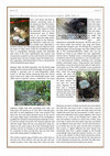 Research paper thumbnail of 'The Blether' Issue 22 - Peleliu Archaeological Survey 2014: Part 4