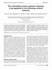 Research paper thumbnail of The antioxidant enzyme quinone reductase is up-regulated in vivo following cerebral ischemia