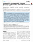 Saccharomyces boulardii Modifies Salmonella Typhimurium Traffic and Host Immune Responses along the Intestinal Tract Cover Page