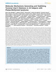 Research paper thumbnail of Molecular Mechanisms Generating and Stabilizing Terminal 22q13 Deletions in 44 Subjects with Phelan/McDermid Syndrome