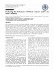 Research paper thumbnail of Evaluating the Performance of Wheat Cultivars under Late Sown Conditions