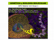 GENÉTICA y BIOLOGÍA MOLECULAR Cover Page