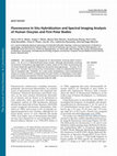 Research paper thumbnail of Fluorescence In Situ Hybridization and Spectral Imaging Analysis of Human Oocytes and First Polar Bodies