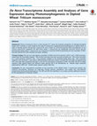 Research paper thumbnail of De Novo Transcriptome Assembly and Analyses of Gene Expression during Photomorphogenesis in Diploid Wheat Triticum monococcum