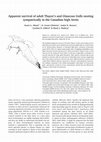 Research paper thumbnail of Apparent Survival of Adult Thayer's and Glaucous Gulls Nesting Sympatrically in the Canadian High Arctic