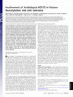 Research paper thumbnail of Involvement of Arabidopsis HOS15 in histone deacetylation and cold tolerance