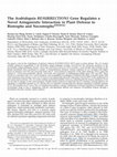 Research paper thumbnail of The Arabidopsis RESURRECTION1 Gene Regulates a Novel Antagonistic Interaction in Plant Defense to Biotrophs and Necrotrophs