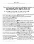 Research paper thumbnail of Tumor Necrosis Factor α Reduces Butyrate Oxidation In Vitro in Human Colonic Mucosa: A Link from Inflammatory Process to Mucosal Damage?