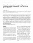 Research paper thumbnail of Vesicular neurotransmitter transporter expression in developing postnatal rodent retina: GABA and glycine precede glutamate