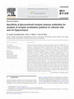 Research paper thumbnail of Specificity of glucocorticoid receptor primary antibodies for analysis of receptor localization patterns in cultured cells and rat hippocampus