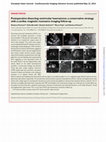 Research paper thumbnail of Postoperative dissecting ventricular haematoma: a conservative strategy with a cardiac magnetic resonance imaging follow-up