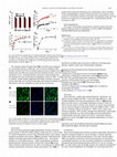 Dendrimer-modified gold nanorods as efficient controlled gene delivery system under near-infrared light irradiation Cover Page