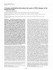 Research paper thumbnail of Cytosine methylation determines hot spots of DNA damage in the human P53 gene