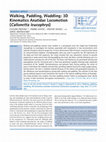 Walking, Paddling, Waddling: 3D Kinematics Anatidae Locomotion (Callonetta leucophrys) Cover Page