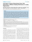 Research paper thumbnail of Cell origin of human mesenchymal stem cells determines a different healing performance in cardiac regeneration