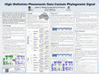 Research paper thumbnail of High-Definition Phonotactic Data Contain Phylogenetic Signal [poster]