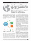 Research paper thumbnail of Major histocompatibility complex class i and tumour immuno-evasion: how to fool T cells and natural killer cells at one time