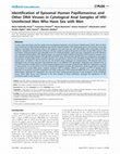 Research paper thumbnail of Identification of Episomal Human Papillomavirus and Other DNA Viruses in Cytological Anal Samples of HIV-Uninfected Men Who Have Sex with Men