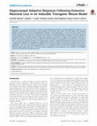 Research paper thumbnail of Hippocampal Adaptive Response Following Extensive Neuronal Loss in an Inducible Transgenic Mouse Model