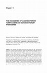 The Oncogenes of Agrobacterium Tumefaciens and Agrobacterium Rhizogenes Cover Page