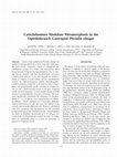 Catecholamines Modulate Metamorphosis in the Opisthobranch Gastropod Phestilla sibogae Cover Page