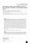 Research paper thumbnail of Reproductive biology of the bushmaster Lachesis muta (Serpentes: Viperidae) in the Brazilian Atlantic Forest