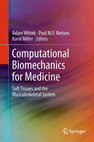 Research paper thumbnail of Segmentation of Skeletal Muscle Fibres for Applications in Computational Skeletal Muscle Mechanics