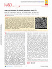 One-Pot Synthesis of Carbon Nanofibers from CO 2 Cover Page