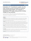 Research paper thumbnail of Evaluation of [11C]oseltamivir uptake into the brain during immune activation by systemic polyinosine-polycytidylic acid injection: a quantitative PET study using juvenile monkey models of viral infection