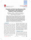 Research paper thumbnail of Preparation and Atomic Force Microscopy (AFM) Characterization of DNA Scaffolds as a Template for Protein Immobilization