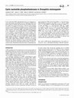 Research paper thumbnail of Cyclic nucleotide phosphodiesterases in Drosophila melanogaster