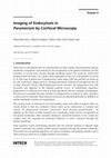 Research paper thumbnail of Imaging of Endocytosis in Paramecium by Confocal Microscopy