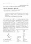 Research paper thumbnail of X-ray Structure of a 3,4-Dihydropyrrolo[1,2-b]pyridazine Derivative